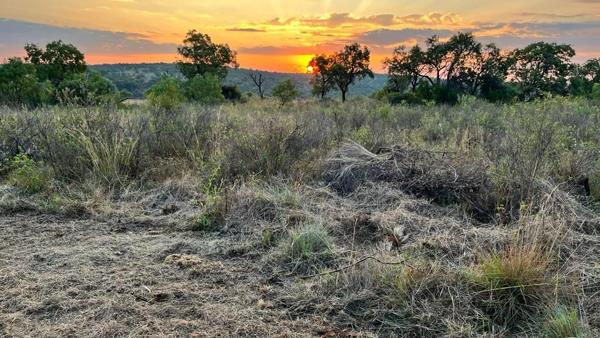 9 838 m² Land