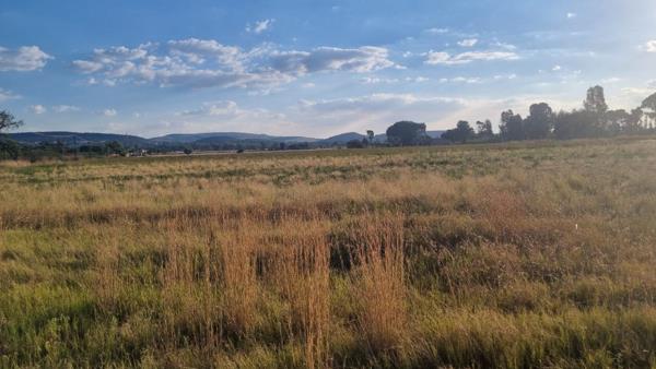 4 ha Smallholding