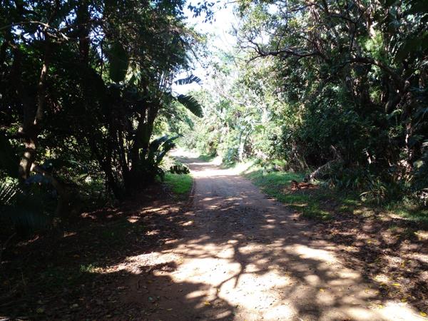 1 479 m² Land