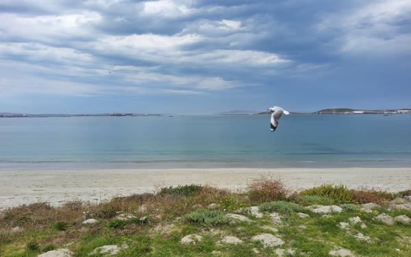 1 746 m² Land