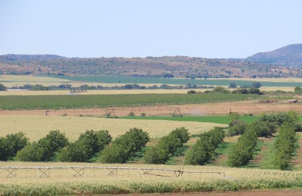 213 ha Farm