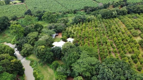 9.5 ha Smallholding