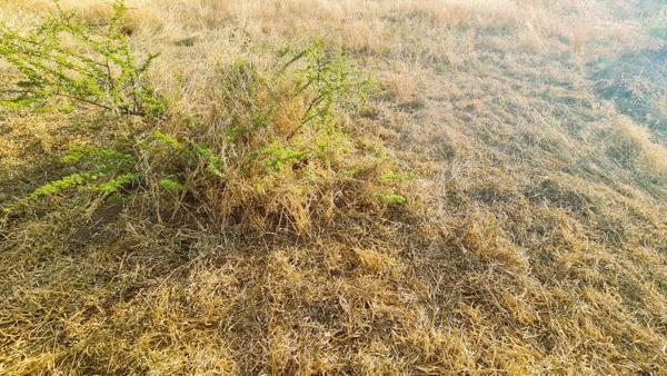 1 350 m² Land