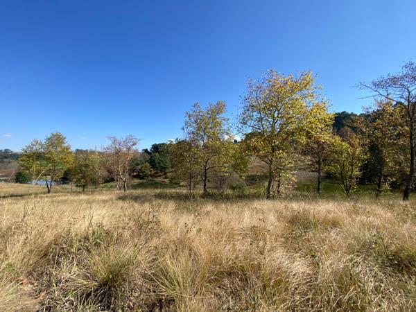 2 877 m² Land
