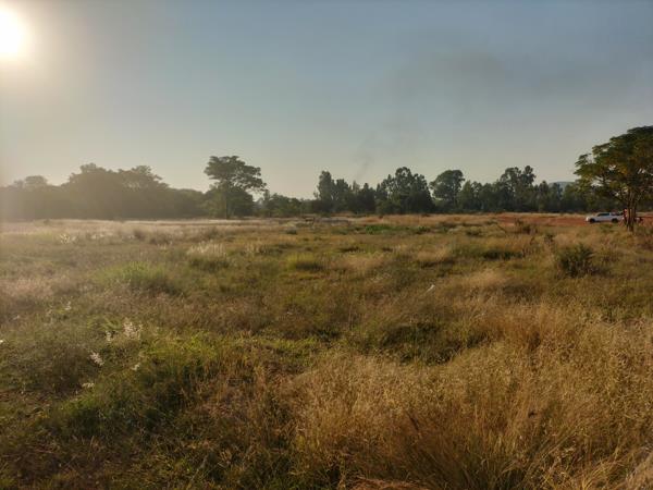 6 ha Land