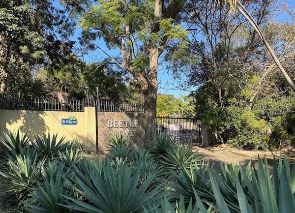 541 m² Land