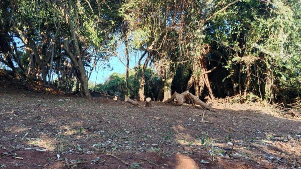 1 102 m² Land