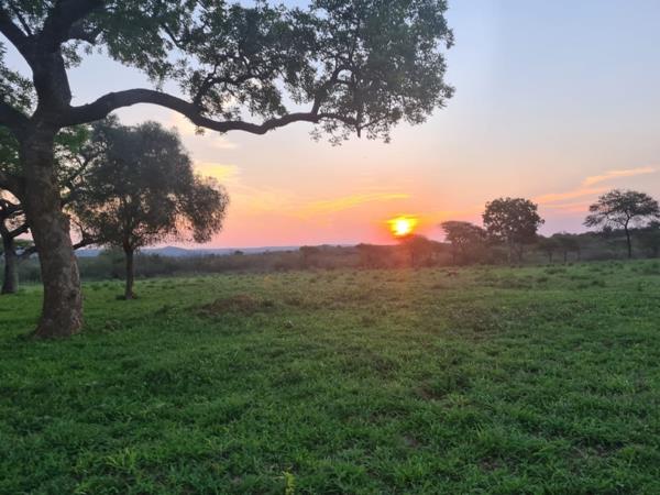 703 ha Farm