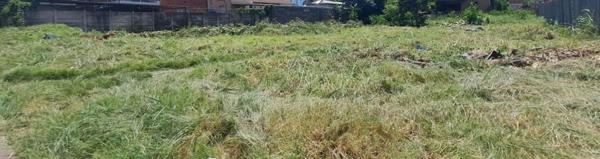 565 m² Land