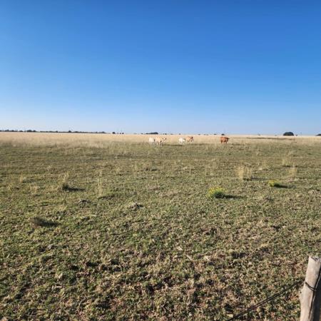 1 862 ha Farm