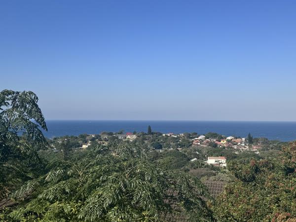 1 263 m² Land