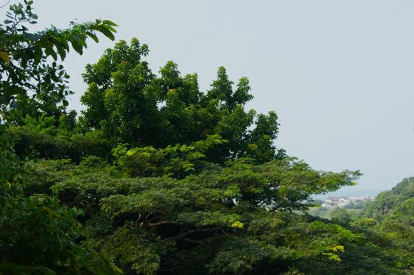 646 m² Land