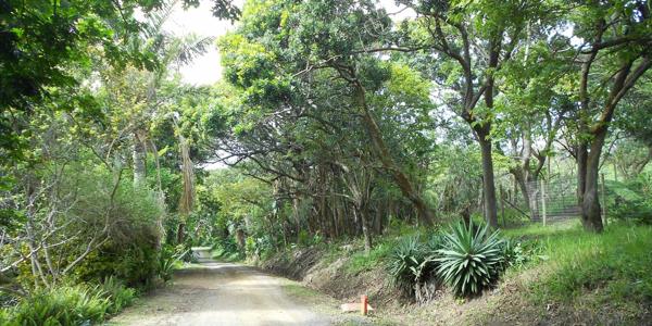 1 356 m² Land
