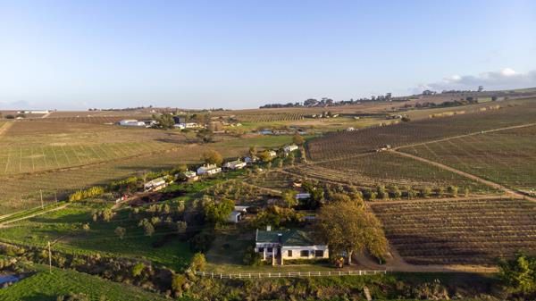 68 ha Agricultural Holding