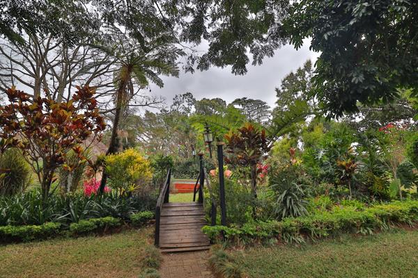 10.4 ha Smallholding