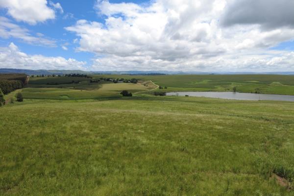 1 ha Land