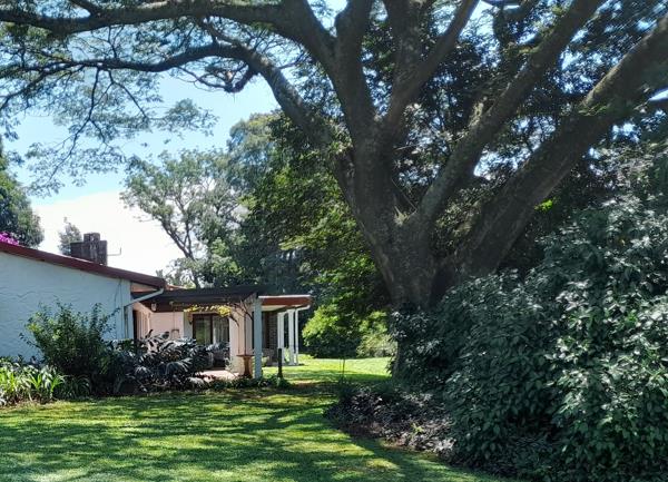 11.3 ha Smallholding