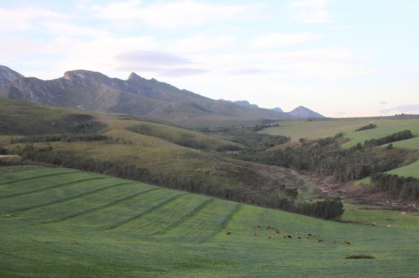 814 ha Farm