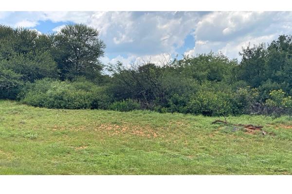 785 m² Land
