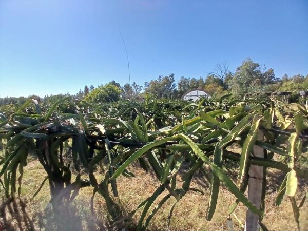 20.2 ha Farm