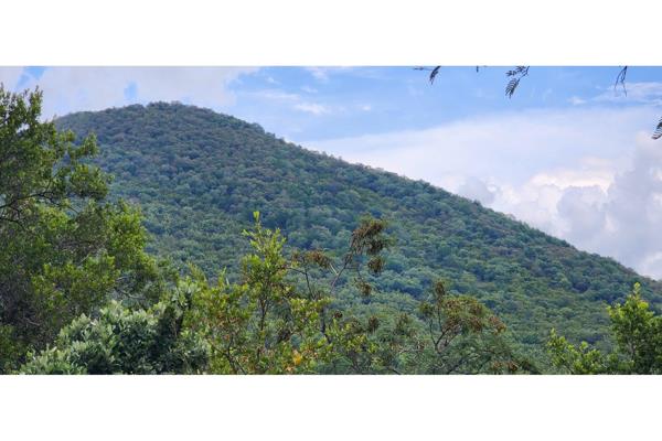 1 ha Land