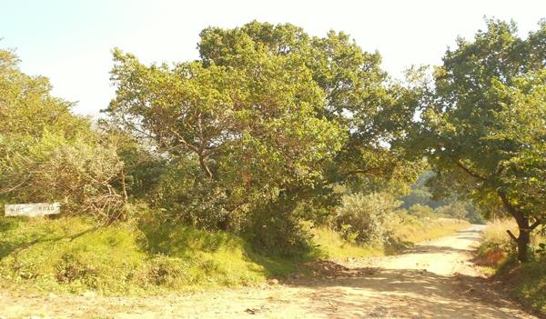 3 885 m² Land