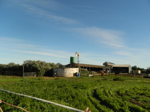 1.1 ha Smallholding