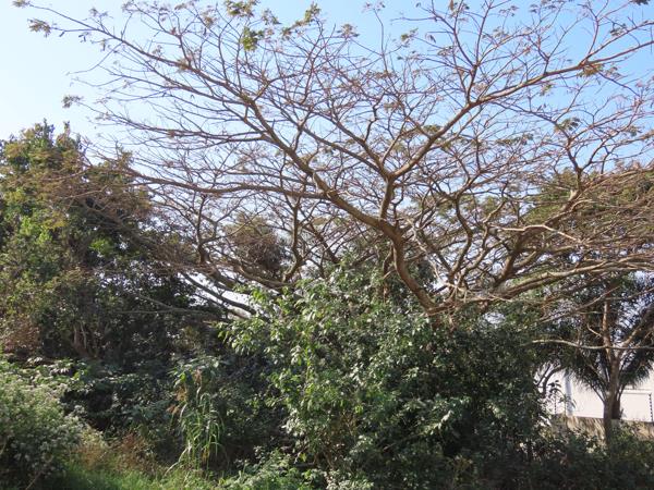 1 058 m² Land