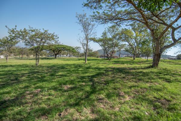 974 m² Land