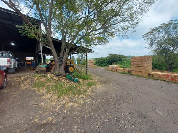 800  m² Commercial space