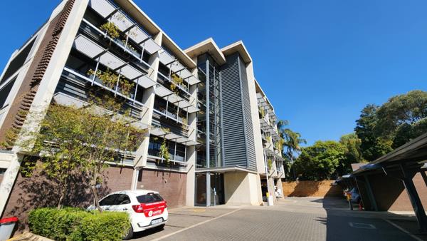 203  m² Commercial space