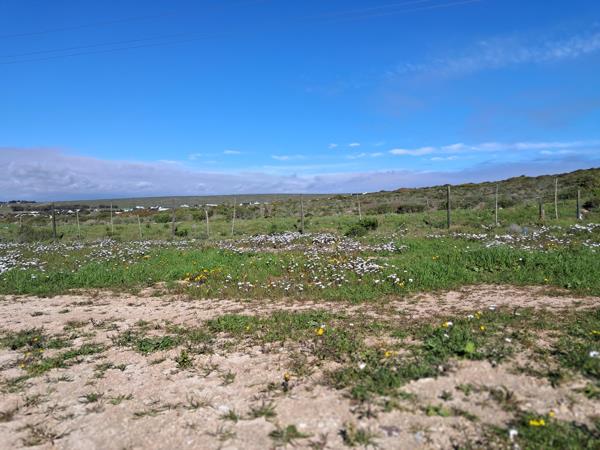294 m² Land