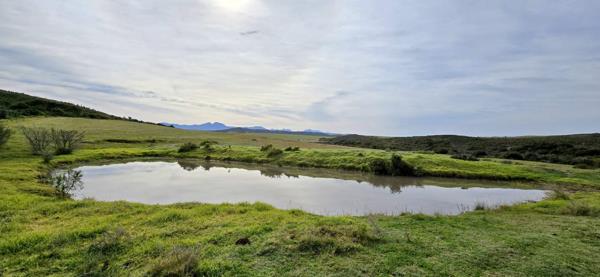 262 ha Farm