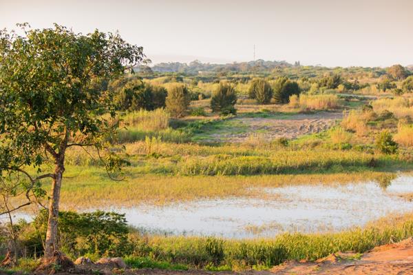 6 000 m² Land