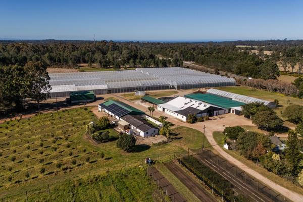 85 ha Farm with House