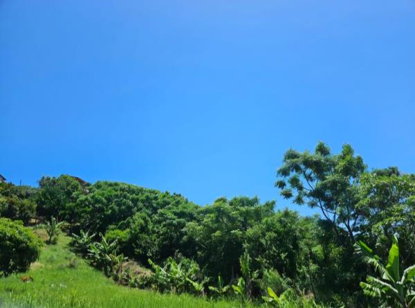 5 660 m² Land