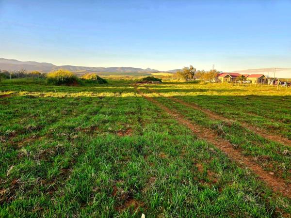 3 993 m² Land