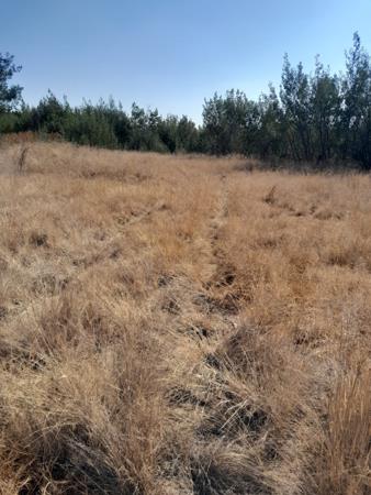 4 ha Land