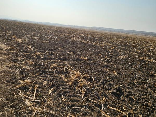 50 ha Land