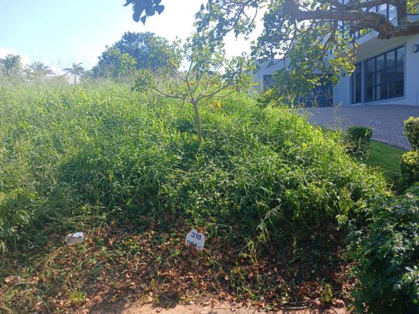1 164 m² Land