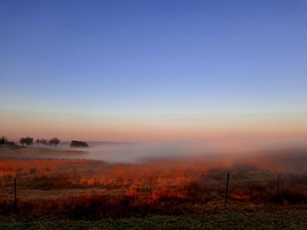 200 ha Agricultural Holding
