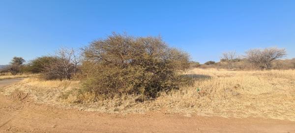 7 ha Land