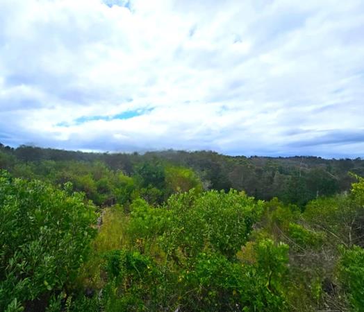 1.8 ha Land