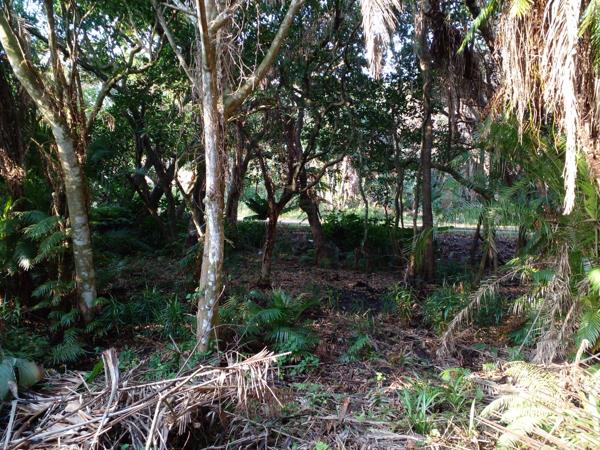 2 158 m² Land