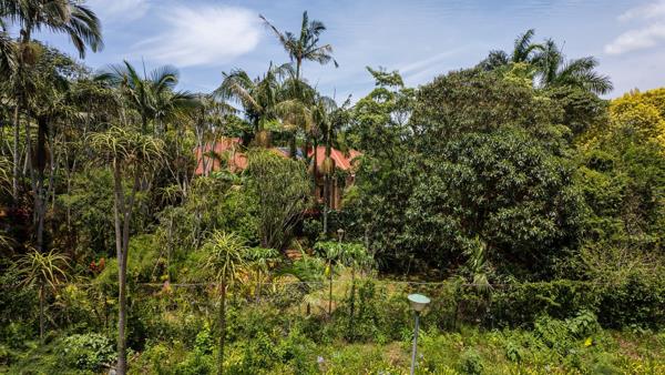 500  m² Commercial space