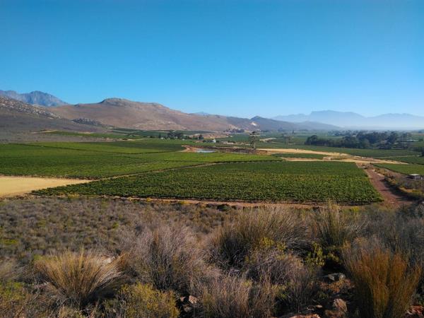 236 ha Farm