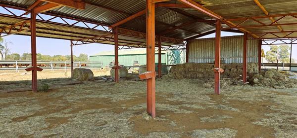 12 ha Farm