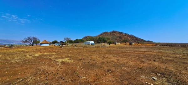 21.4 ha Farm