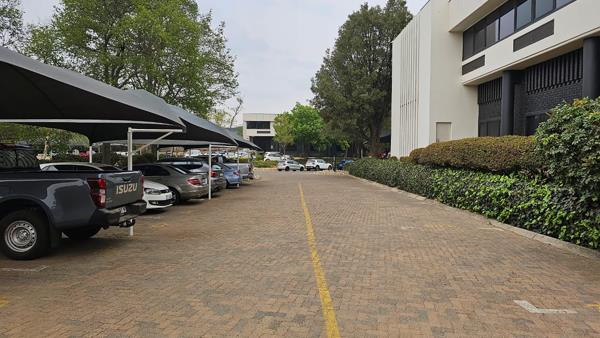 252 m² Office Space