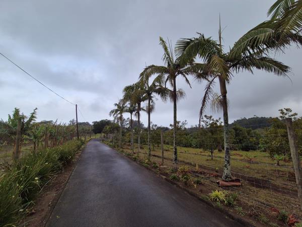 2 ha Farm